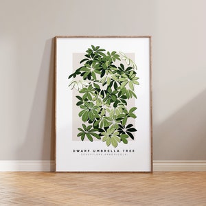 Umbrella Tree Print / Indoor Plant Lover, Plant Dad, Schefflera Arboricola, Houseplant Mum, Plant Daddy, Minimal Botanical Art, Plant Mum