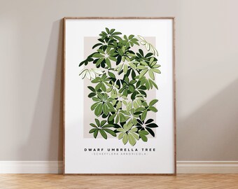 Umbrella Tree Print / Indoor Plant Lover, Plant Dad, Schefflera Arboricola, Houseplant Mum, Plant Daddy, Minimal Botanical Art, Plant Mum