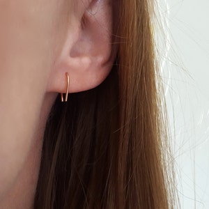 Pu&ograve; includere: Un paio di piccoli orecchini a cerchio d'oro semplici. Gli orecchini sono sottili e delicati e sono mostrati indossati in un orecchio.