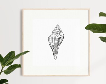 May include: A black and white line drawing of a seashell in a white frame.