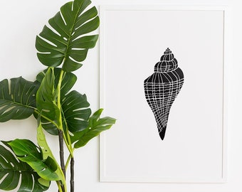 May include: A black and white illustration of a seashell in a white frame. The seashell is a stylized design with a geometric pattern. The frame is hanging on a white wall next to a potted plant.