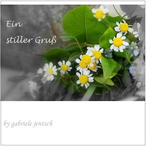 Karte Trauer Beileid Kondolenz Beileidskarte Kondolenzkarte Trauerkarte weiße Kamillenblüten handmade personalisierbar individualisierbar