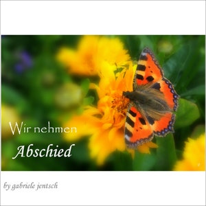 Karte Trauer Beileid Kondolenz Schmetterling