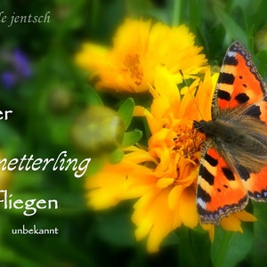 Karte Trauer Beileid Kondolenz Schmetterling