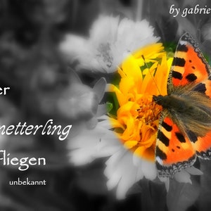 Karte Trauer Beileid Kondolenz Schmetterling