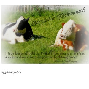 Glückwunschkarte Karte  Hochzeit Hochzeitskarte ländlich