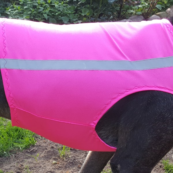 Greyhound vest pink, greyhound safety vest, dog safety vest, 5 sizes