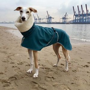 Greyhound coat with belly flap, softshell petrol mottled, lined with cotton teddy plush, 5 sizes