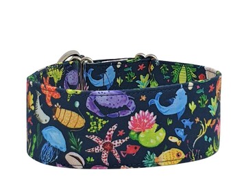 Train stop collar, greyhound collar Marine Life, starfish, fish, 3 widths available