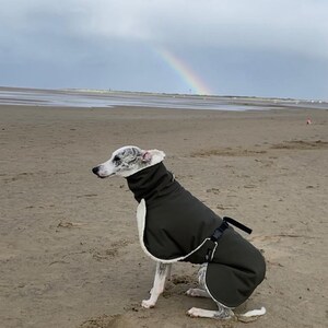 Whippet Mantel mit Bauchlatz, Softshell khaki, gefüttert mit Baumwoll-Teddyplüsch natur oder grau, 5 Größen Bild 8