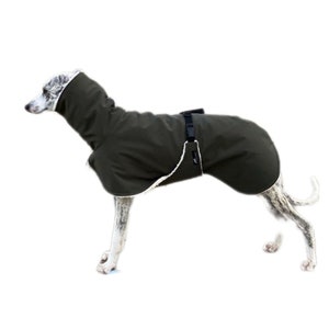 Whippet Mantel mit Bauchlatz, Softshell khaki, gefüttert mit Baumwoll-Teddyplüsch natur oder grau, 5 Größen Bild 1