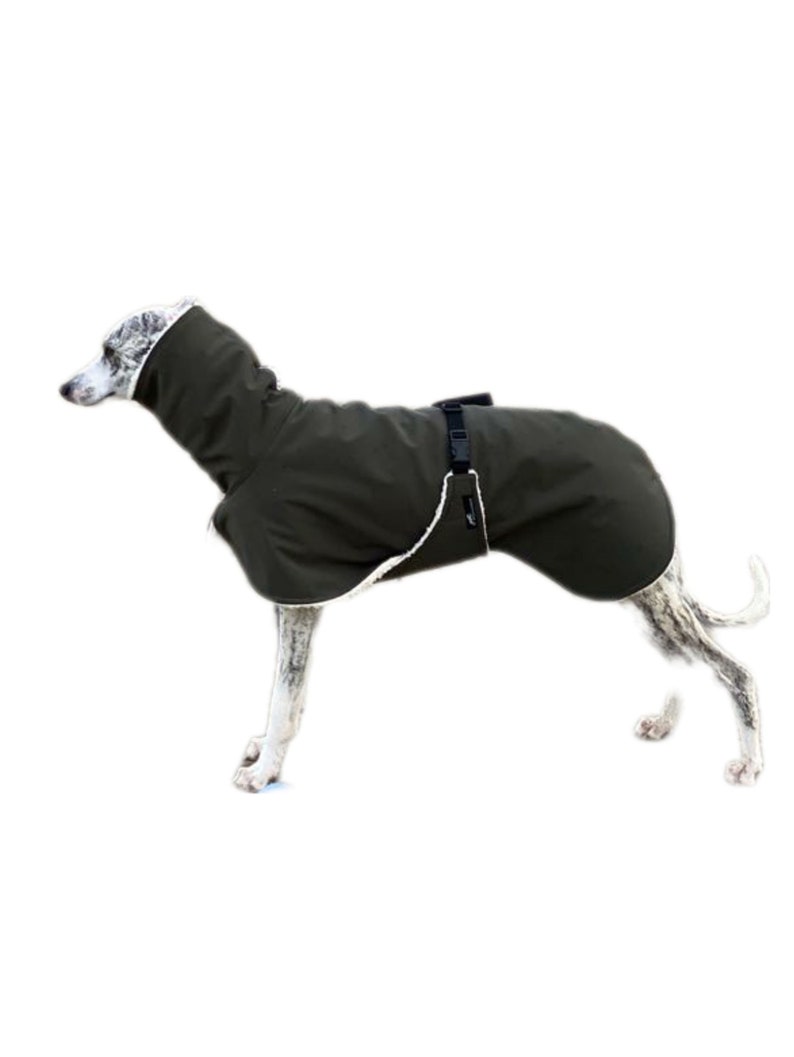 Whippet Mantel mit Bauchlatz, Softshell khaki, gefüttert mit Baumwoll-Teddyplüsch natur oder grau, 5 Größen Bild 1