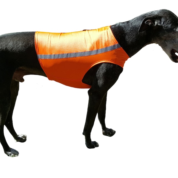 Greyhound warning racing and romping vest, Greyhound running vest, orange, 5 sizes