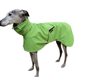 saluki coat