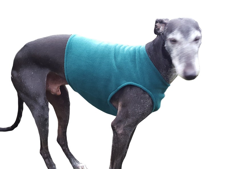 Greyhound vest, polar fleece, color petrol, 5 sizes image 2