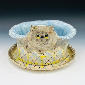 Cat Planter and Matching Tray, Hand Painted Ceramic or Pottery in Speckled White Clay