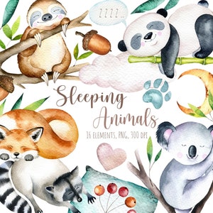 Cute sleeping animals watercolor clipart, Cute sleeping panda, sweet dreams clipart, good night clipart, Cute sleeping Sloth, Cute  Raccoon