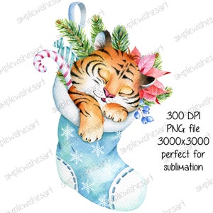 Tigre de Natal fofo PNG, designs de sublimação de Natal, design de camiseta de Natal, Natal PNG 300 DPI, download instantâneo de sublimação