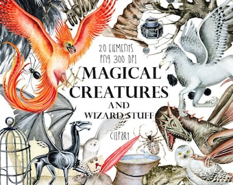 Criaturas Mágicas, Clipart de Escola de Mágica, Suprimentos de Feiticeiro, Poções, Fênix, Clipart de Dragão, Coruja, Fantasma, Clipart de Halloween, Vassoura, Varinhas Mágicas