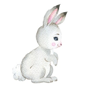 May include: A watercolor illustration of a gray bunny rabbit with pink ears and a fluffy white tail. The bunny is sitting on its hind legs with its front paws tucked in.