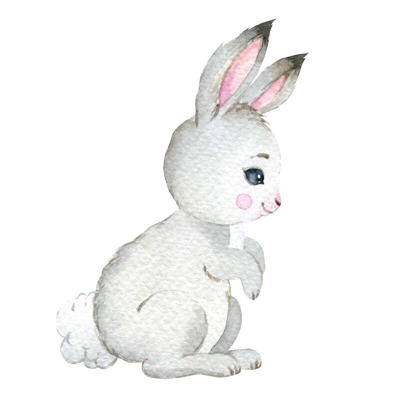 May include: A watercolor illustration of a gray bunny rabbit with pink ears and a fluffy white tail. The bunny is sitting on its hind legs with its front paws tucked in.