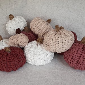 Kürbis Dekoration Deko Herbst Herbstdeko Kürbisdeko
