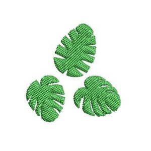 Pode incluir: Três folhas tropicais verdes com um padrão texturizado, que se assemelham a uma planta de monstera.