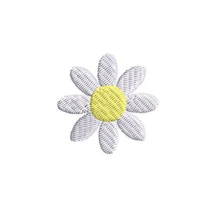 May include: A white daisy with a yellow center. The daisy has eight petals.