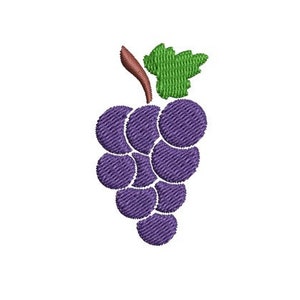 Może przedstawiać: Gronostan fioletowych winogron z zieloną łodygą i liściem. Winogrona są ułożone w gronie i mają fakturowany wygląd.