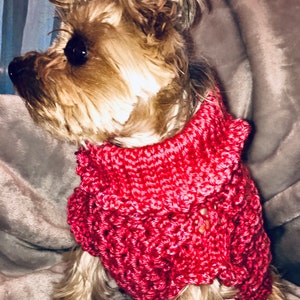 Crochet Dog Sweater Pattern / Dog and Cat Sweater Crochet Pattern / Crochet Dog Jumper / Crochet Pattern
