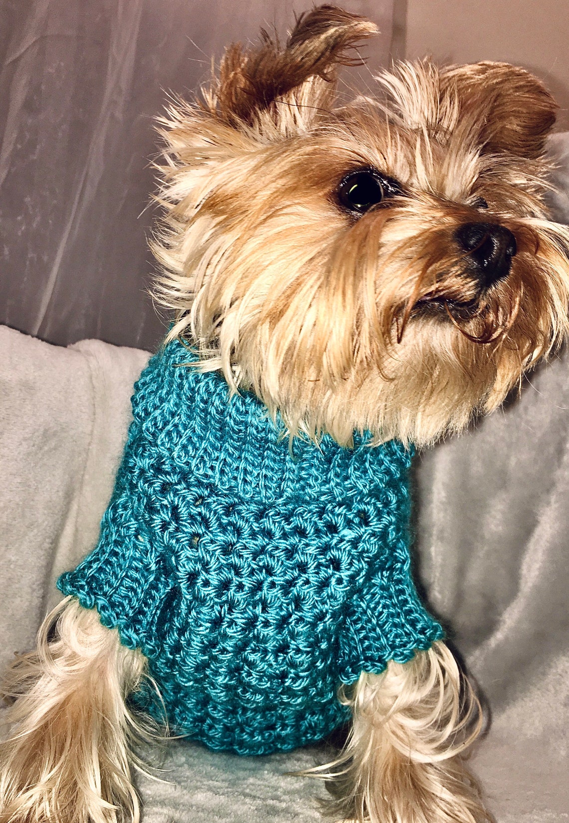 Textured Cozy Crochet Dog & Cat Sweater Pattern Dog Sweater Etsy