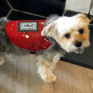 Designer Dog Harness/ Red Dog Harness