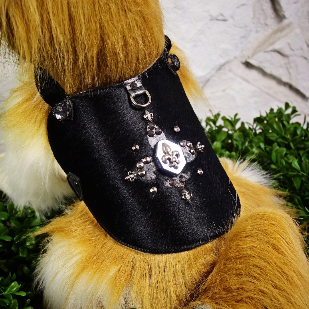 Black Luxury Dog Harness / Designer Dog Harness Etsy