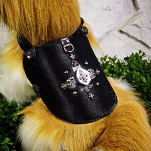 Black Luxury Dog Harness / Designer Dog Harness