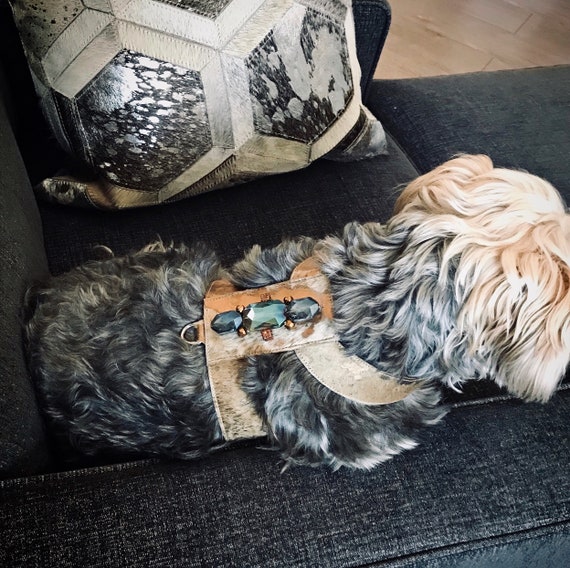 Posh top dog accessories