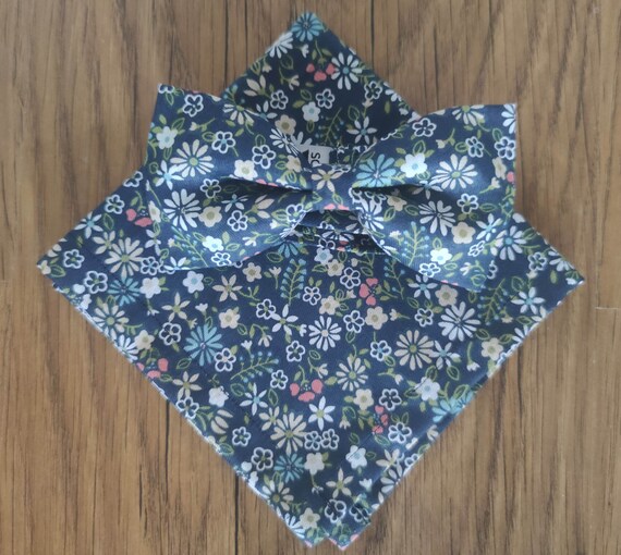 Set bow tie and handkerchief bow tie and handkerchief