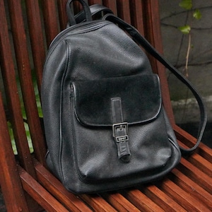 17 backpack with laptop sleeve High Sierra