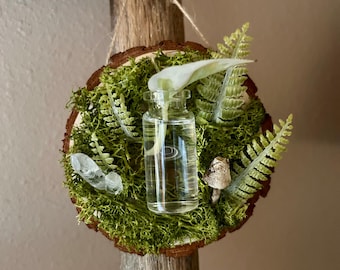 Magnetische Pflanzenvermehrung Wandbehang mit Glasflasche | Wald-inspirierter Galerie-Wanddekor | einzigartiges Geschenk für Pflanzenliebhaber