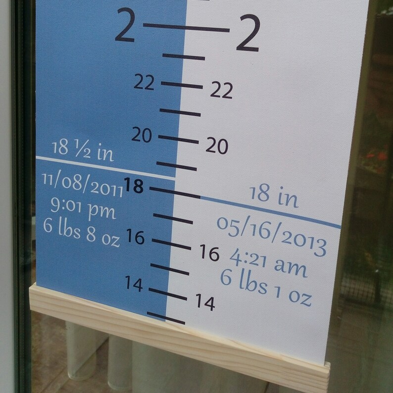 Growth Chart for Twins Height Rule for Two Childrens Etsy