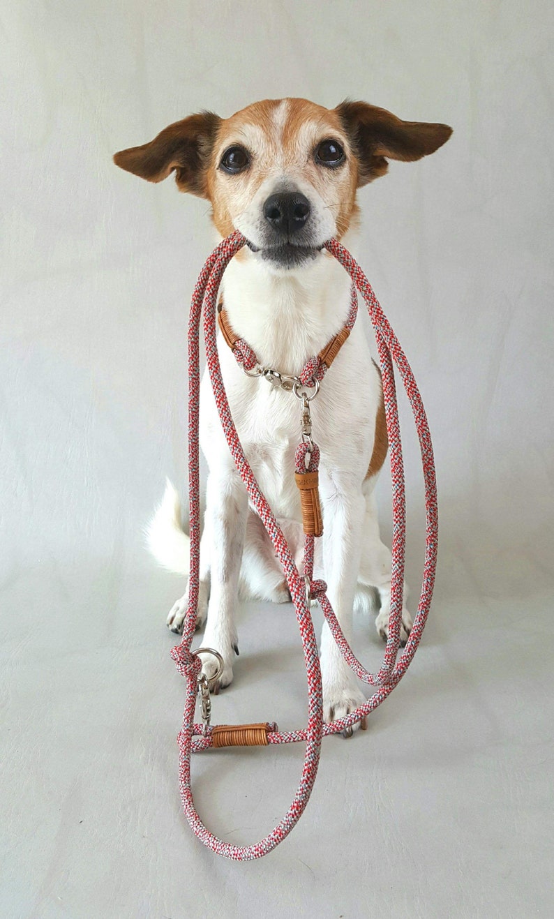 Hundeleine für kleine Hunde aus Segeltau rot Leder Etsy