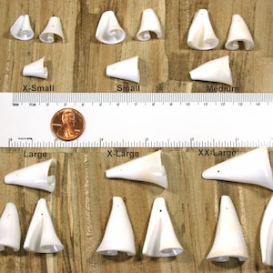 Spiral Shell Beads in 6 sizes 10-40mm - Strombus Seashell Beads - Cone Trumpet Shape - Conch Sea Shell Beads - 3/8&quot; to 1-1/2&quot;