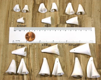 Spiral Shell Beads in 6 sizes 10-40mm - Strombus Seashell Beads - Cone Trumpet Shape - Conch Sea Shell Beads - 3/8" to 1-1/2"