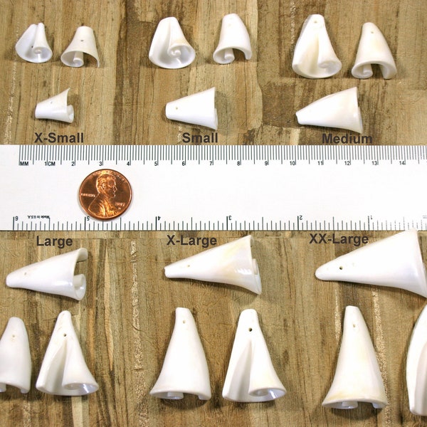 Spiral Shell Beads in 6 sizes 10-40mm - Strombus Seashell Beads - Cone Trumpet Shape - Conch Sea Shell Beads - 3/8" to 1-1/2"