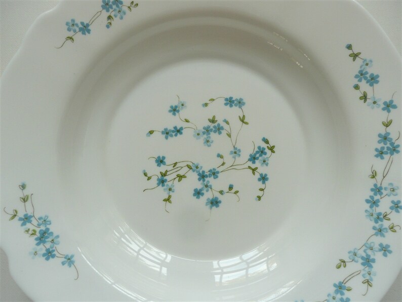 4 verres a eau Arcopal Veronica décor fleurs myosotis