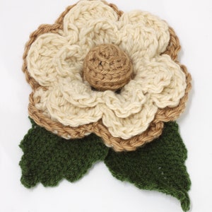 May include: A crocheted flower with a brown center and white petals, with green crocheted leaves.