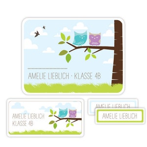 Namensaufkleber für Kinder, Schulaufkleber, Geschenk Einschulung, Geschenk Schulanfang, Sticker, Aufkleber mit Namen Eule ASET018 Bild 1