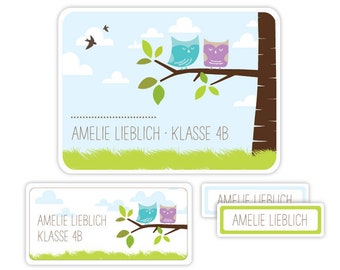 Namensaufkleber für Kinder, Schulaufkleber, Geschenk Einschulung, Geschenk Schulanfang, Sticker, Aufkleber mit Namen - Eule ASET018