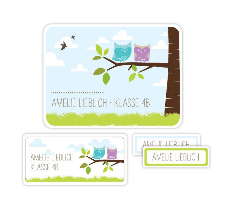 Namensaufkleber für Kinder, Schulaufkleber, Geschenk Einschulung, Geschenk Schulanfang, Sticker, Aufkleber mit Namen Eule ASET018 Bild 1