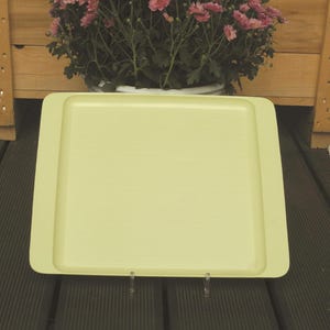 Große Servierplatte aus Plastik Fleischplatte Tablett Made in DDR #1787962292