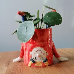 Fioriera per piante verdi, vaso da fiori con viso